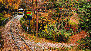 ΓΥΡΟΣ ΠΕΛΟΠΟΝΝΗΣΟΥ ΓΥΡΟΣ ΠΕΛΟΠΟΝΝΗΣΟΥ